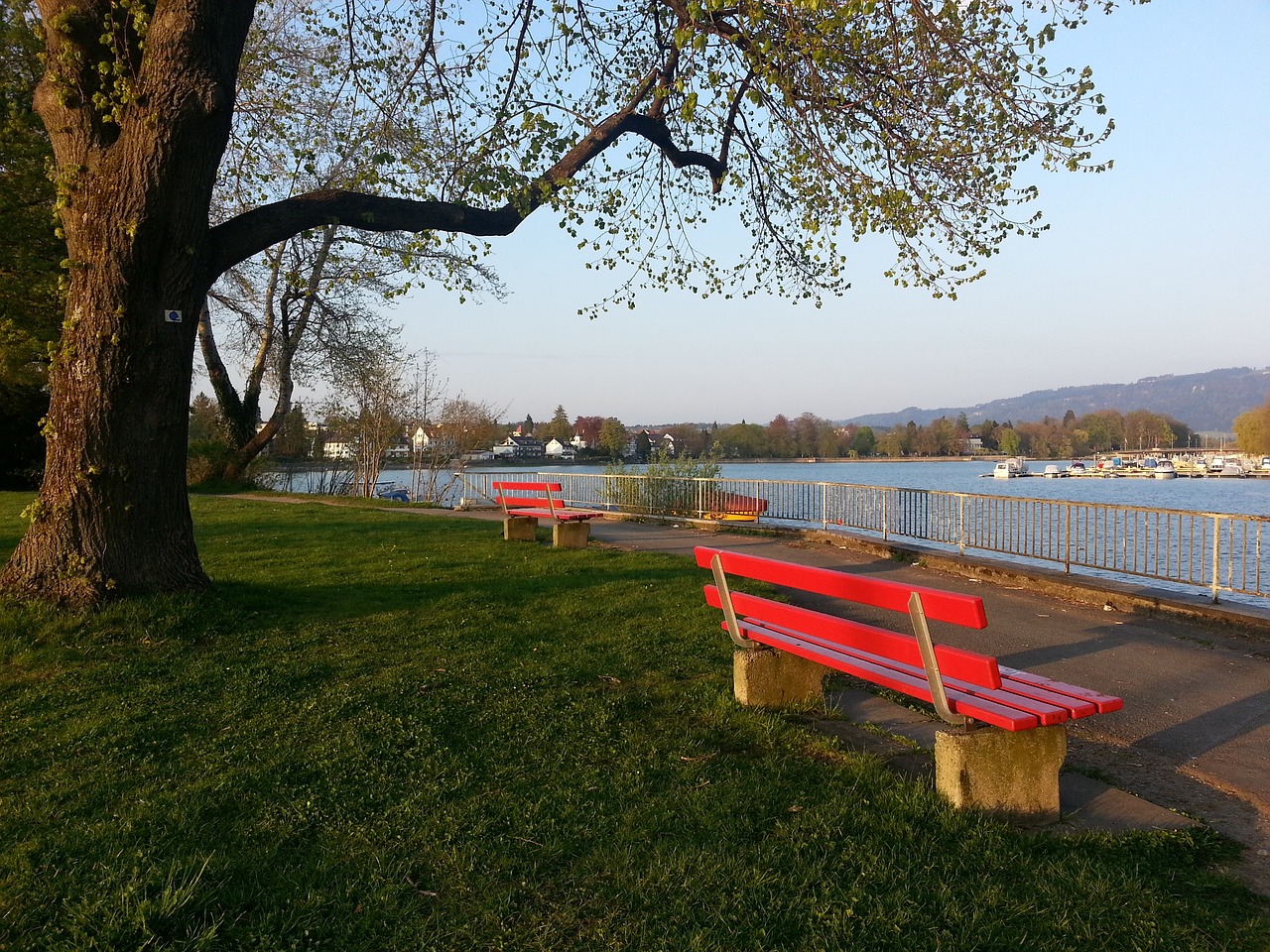 他们多次威 他们多次威