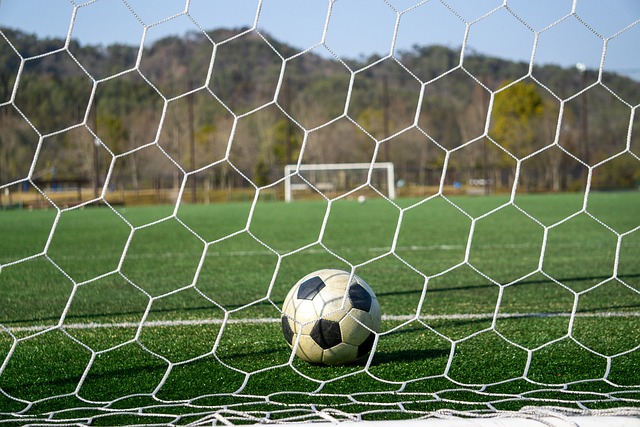 他们多次威 他们多次威