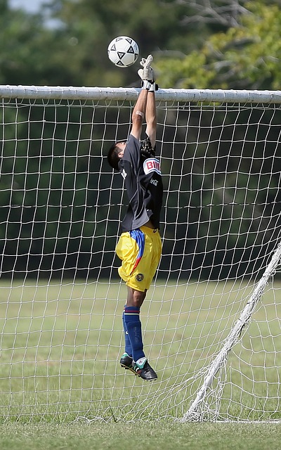 能够承担起 能够承担起